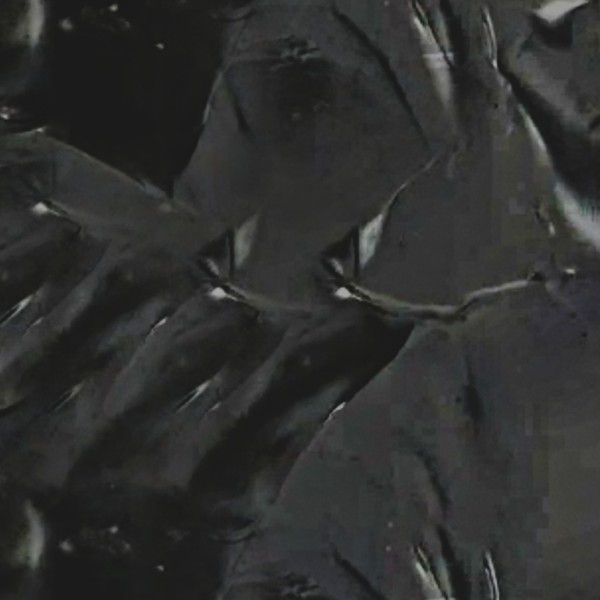 Black Reef